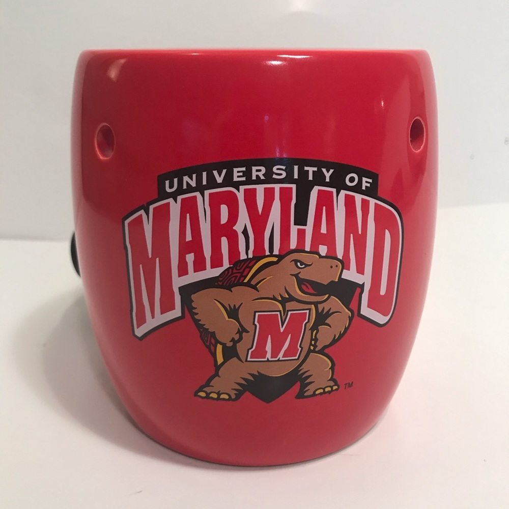 🐢 University of Maryland Terrapins NCAA College Desk Lamp